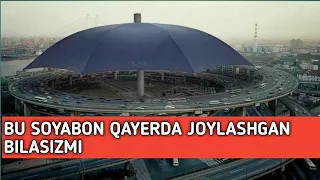 DUNYODAGI ENG KATTA SOYABON QAYERDA BILASIZMI