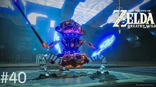 Completing the Shrines - Breath of the Wild || No Commentary || 2k 60FPS