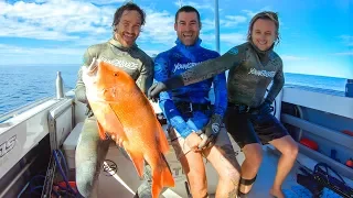 CAMPING WITH THE BOYS Spearfishing Giant Reds And Amazing Weather (Part 2) - Ep 96
