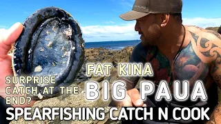 HIKE + SPEARFISHING CATCH AND COOK, PAUA FOR CREATING SPACE EVENT, FAT CREAMY KINA