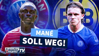 Mané soll Bayern im Sommer verlassen – Gallagher BVB-Kandidat? | TRANSFERMARKT