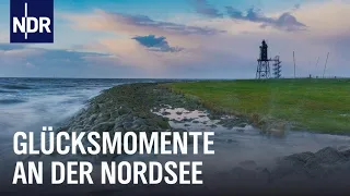 Surfen, Schwimmen, Fotografieren - Wintersport auf Norddeutsch | Nordseereport | NDR Doku