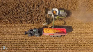 🌽Kukurica 2023 - CLAAS Lexion 8900TT, DEUTZ FAHR 9340 TTV Black Warior + Perard Interbenne 38