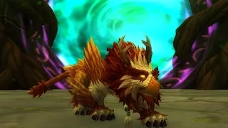 How to get the HIDDEN Feral Artifact Skin - Feather of the Moonspirit