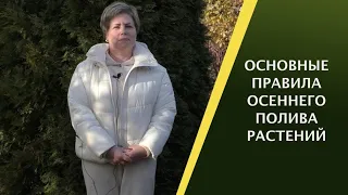 КАК ПРАВИЛЬНО ПОЛИТЬ РАСТЕНИЯ ОСЕНЬЮ, ЧТОБЫ ОНИ ХОРОШО ПЕРЕЗИМОВАЛИ!