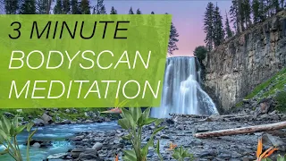 3 Minute Body Scan | Short Guided Meditation