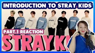 First Introduction To Stray Kids 2023 REACTION! Part.1