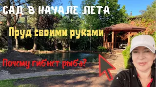 ПРУД СВОИМИ РУКАМИ | ГИБНУТ РЫБЫ | САД НАЧАЛО ЛЕТА