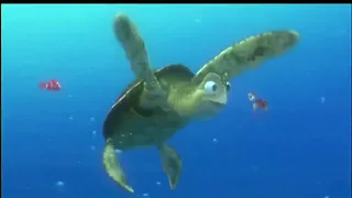 Finding Nemo (2003) Turtle Scene Part 2