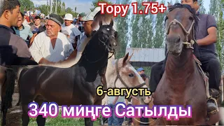 Ноокатта 1.75+ Тору Ат 340 миңге Сатылды 😱 Соода Кызыды пай пай паай