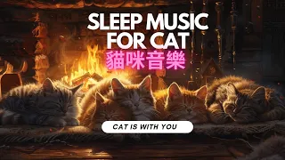 貓咪音樂 - 緩解壓力和焦慮的寧靜音樂 獲得健康和幸福