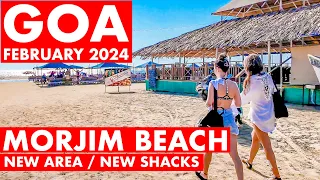 Morjim Beach - February 2024 | Goa Vlog | North Goa | Famous Russian Beach | Shacks & Prices |