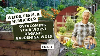 S13 E4: Weeds, Pests, & Herbicides: Overcoming Your Worst Organic Gardening Woes
