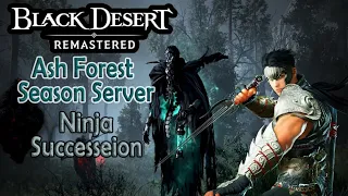 Black Desert Online || Ash Forest Season Server || Ninja Succession
