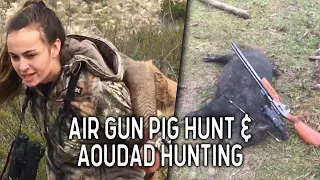 Hunting Aoudad in West Texas and Feral Hog Hunting Adventures | VLOG