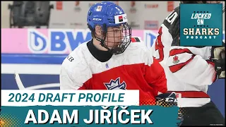 2024 NHL Draft Profile: HC Plzeň defenseman Adam Jiříček