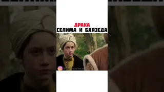 Драка Селима и Баязеда ✨👌🏻