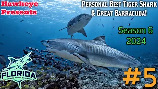 Ultimate Fishing Simulator S6 #5 - Florida DLC: Personal Best Tiger Shark & Great Barracuda!