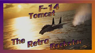 The F-14 Tomcat: The Retro Rockstar