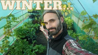 Winter planting | Cold hardy vegetables | Winter gardening
