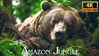 AMAZON JUNGLE 4K ULTRA HD | Rainforest Animals