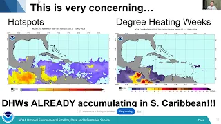 Lessons Learned from the 2023 Caribbean Bleaching Event and Preparing for 2024 - CCT May 13, 2024