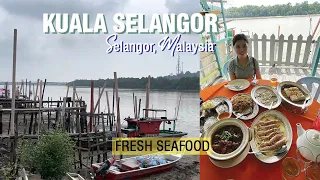 Affordable Fresh Fish, Delicious Seafood - Kuala Selangor Vlog | Kimberly Polo