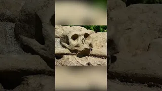 Giant stone skull found #shorts