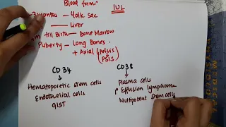 Markers of Hematopoietic Stem Cell || Hematology
