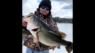 TEENER CAUGHT ON BIG SWIMBAIT!  (C2C VIDEO)