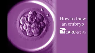 Thawing an embryo in the lab | Care Fertility