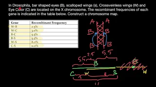 Chromosome mapping