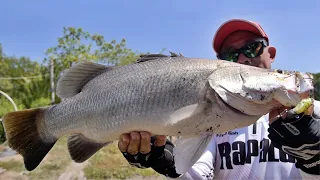 Can't Believe How Good Is Rapala CrushCity!