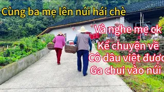 39: Cùng ba mẹ lên núi hái chè và nghe mẹ kể về cô dâu việt được ga chui vào núi cách đây 50 cây số