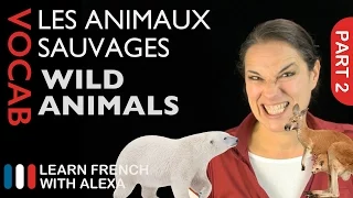 Wild Animals in French Part 2 (basic French vocabulary from Learn French With Alexa)