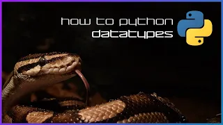 Datatypes - How to Python - Basics 1