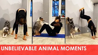 🐶 UNBELIEVABLE Animal Moments CAUGHT ON CAMERA #5