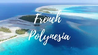 DIVING FRENCH POLYNESIA 2018 (4K)
