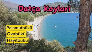 DATÇA NIN  EN GÜZEL KOYLARİ - Palamutbükü/Ovabükü/Hayitbükü 4K #Datça koyları