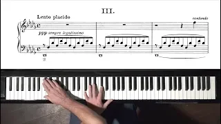 Liszt Consolation No.3 - P. Barton FEURICH 218 piano