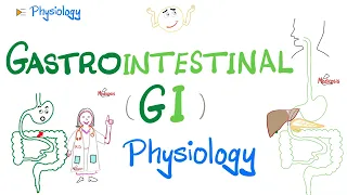 Gastrointestinal (GI) Physiology…The Basics (Introduction) | Physiology Series