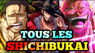 TOUS les GRANDS CORSAIRES de ONE PIECE EXPLIQUÉS !