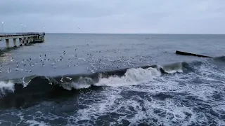 Зеленоградск - город праздник.#недалекиепутешествия