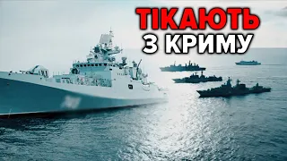 💥ВІД'ЄМНИЙ НАСТУП кораблів Чорноморського флоту рф! ⚡Скільки залишилось?