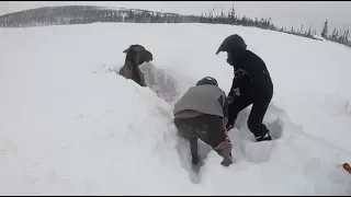 Snowmobilers Rescue Moose Stuck In Snow