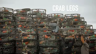 Crab Legs (Commercial Crabbing in Oregon)
