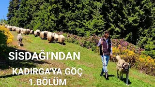 SİSDAĞI 'NDAN GATAĞACI OBASINA 30 KM. GÖÇ || 1.BÖLÜM