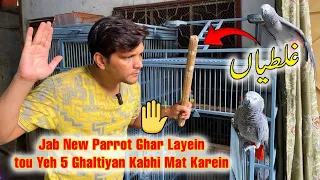 New Parrot ko jab Ghar layein tou pehle yeh kaam Lazmi karein | PBI Official