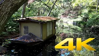Nezu Museum - Tokyo - 根津美術館 - 4K Ultra HD