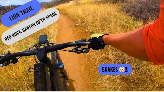 Huge Snake on Lion Trail in Red Rock Canyon Open Space